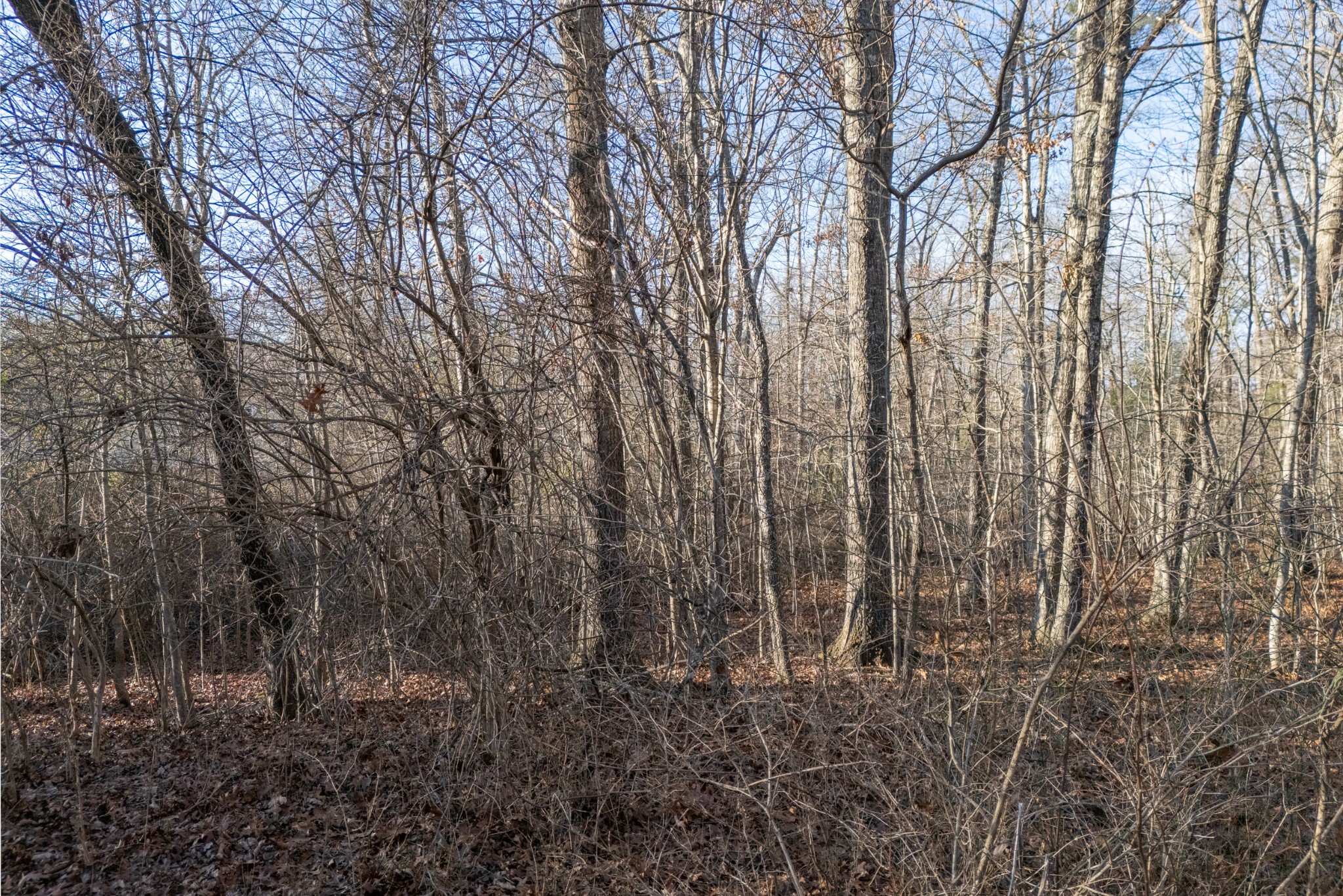 0 Satsuma Drive Crossville TN 38555