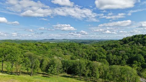 0 Burke Hollow Road Nolensville TN 37135