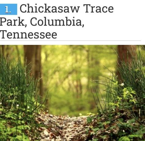 1815 Ableson Way Columbia TN 38401