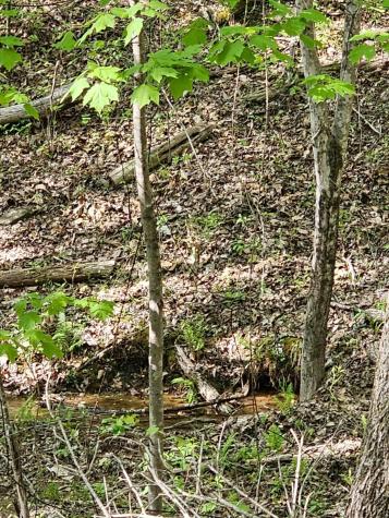 0 Waterwheel Way Jasper TN 37347