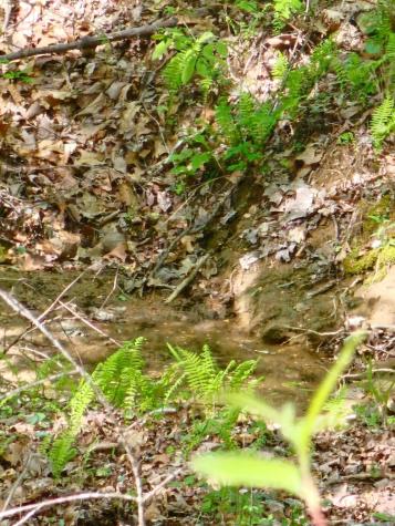 0 Waterwheel Way Jasper TN 37347