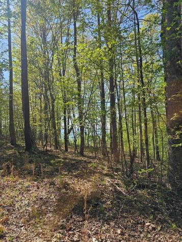 0 Waterwheel Way Jasper TN 37347