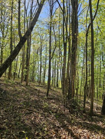 0 Waterwheel Way Jasper TN 37347