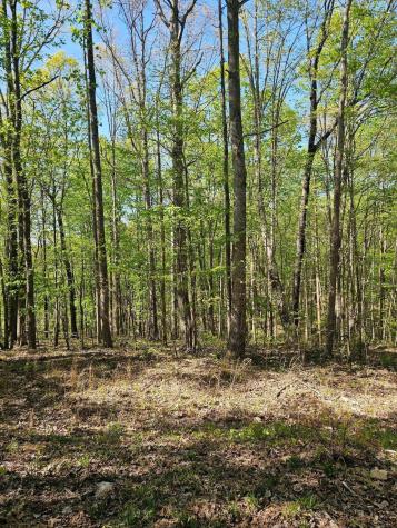 0 Waterwheel Way Jasper TN 37347