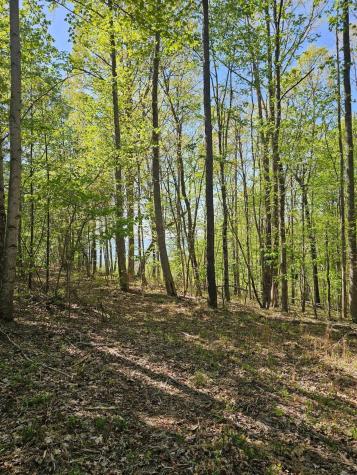 0 Waterwheel Way Jasper TN 37347