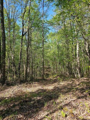 0 Waterwheel Way Jasper TN 37347