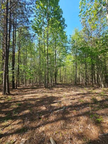 0 Waterwheel Way Jasper TN 37347