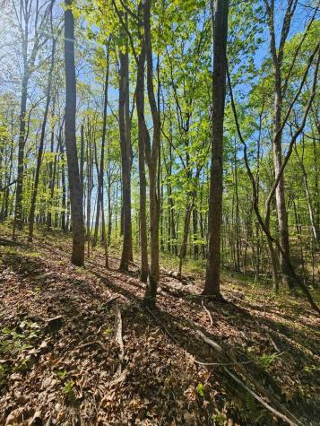 0 Waterwheel Way Jasper TN 37347