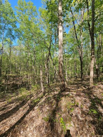 0 Waterwheel Way Jasper TN 37347