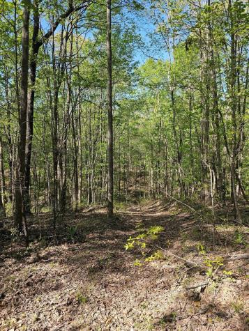 0 Waterwheel Way Jasper TN 37347