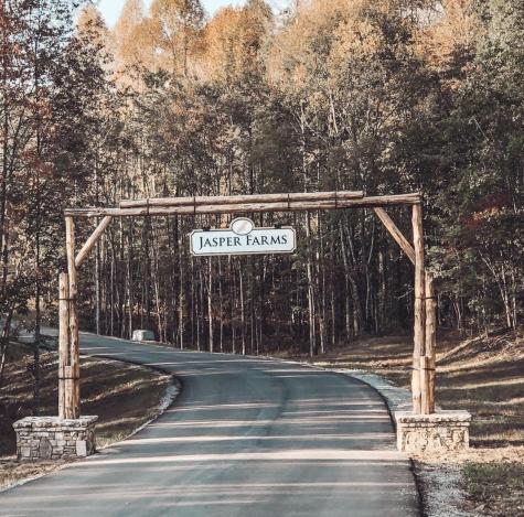 0 Waterwheel Way Jasper TN 37347