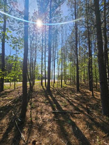 0 Waterwheel Way Jasper TN 37347