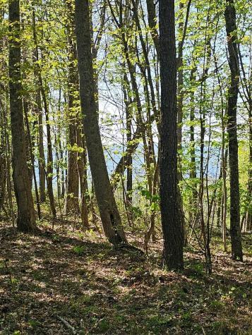 0 Waterwheel Way Jasper TN 37347