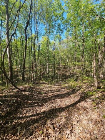 0 Waterwheel Way Jasper TN 37347