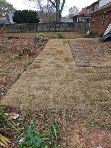 8003 Sunny Creek Drive Memphis TN 38138
