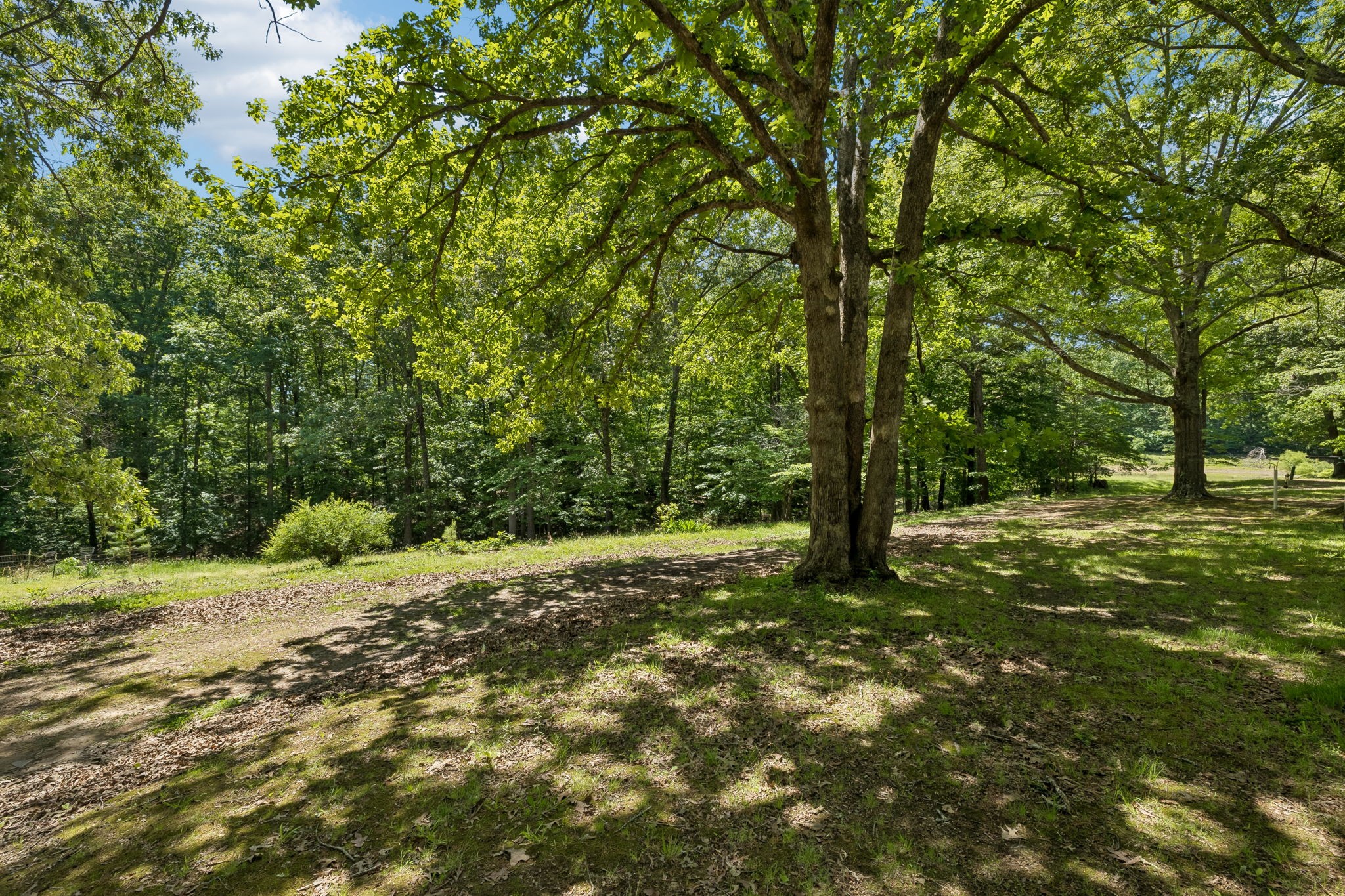 467 Sandy Road Dover TN 37058