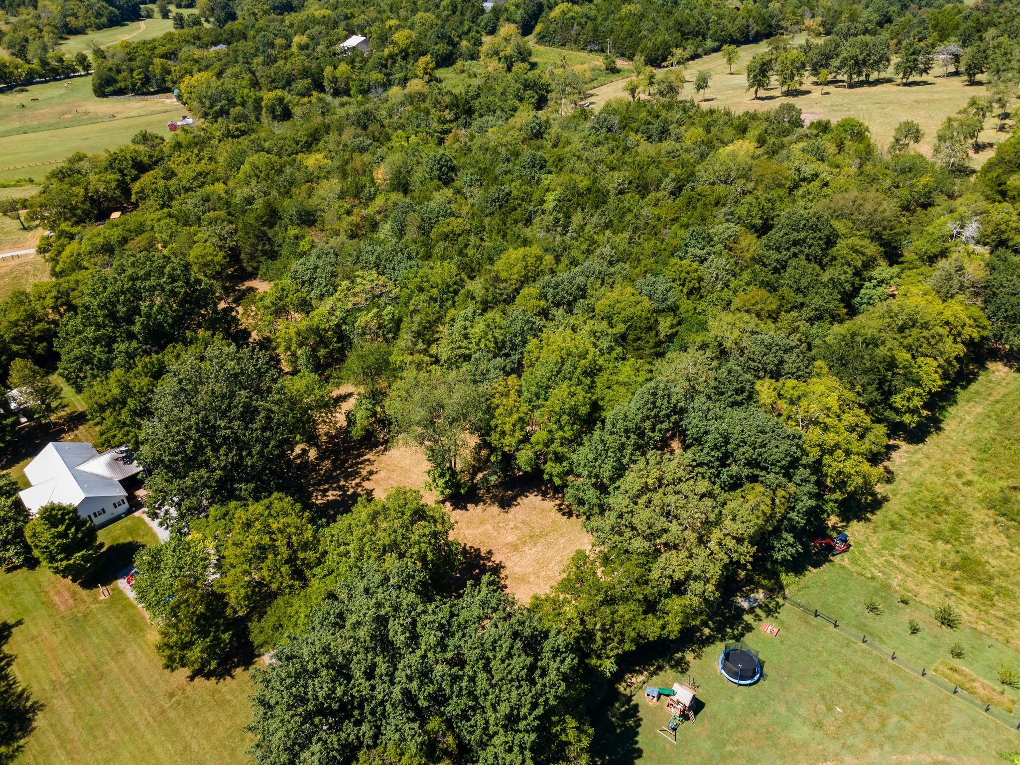 8362 Patterson Road College Grove TN 37046