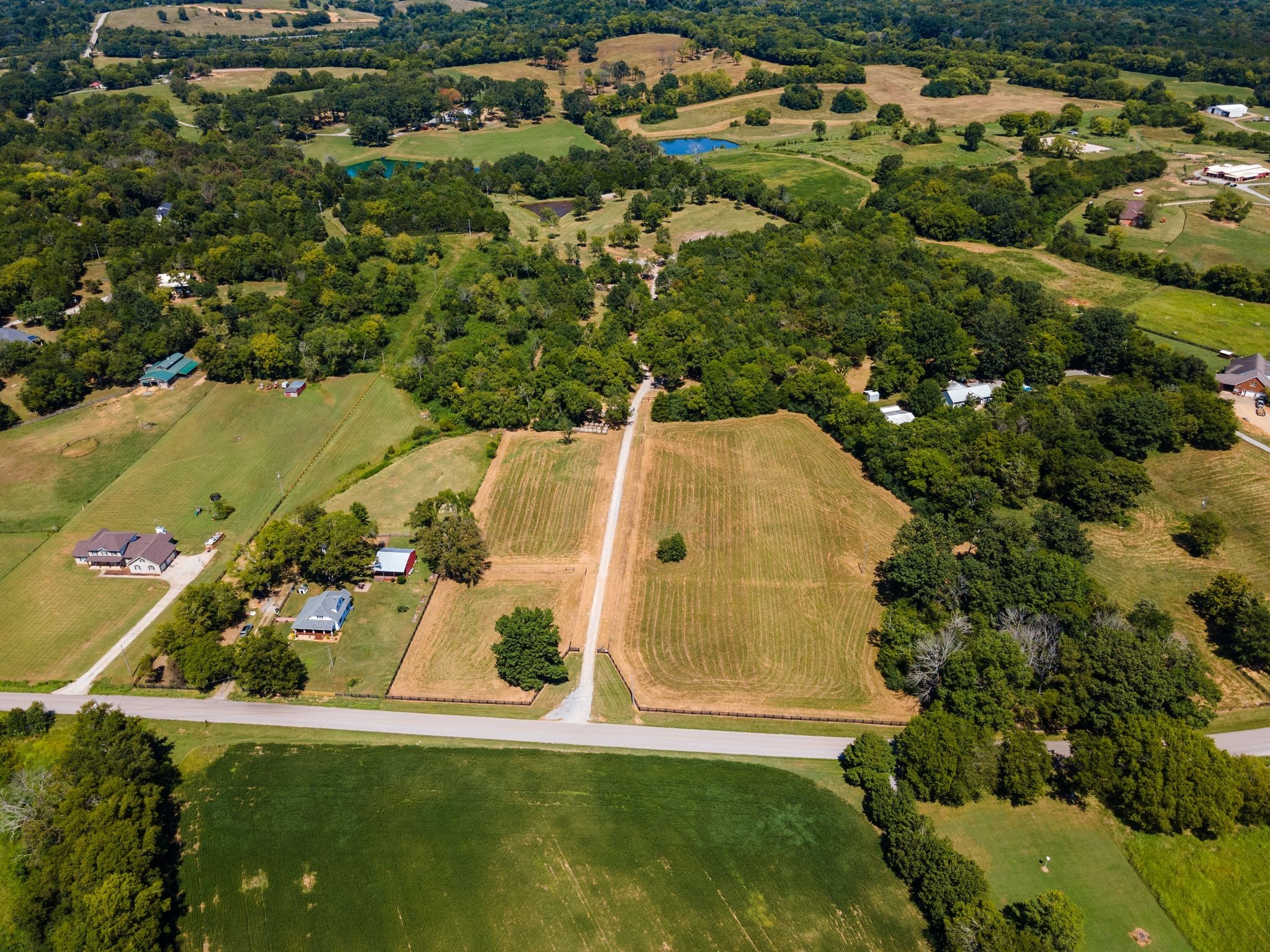 8362 Patterson Road College Grove TN 37046