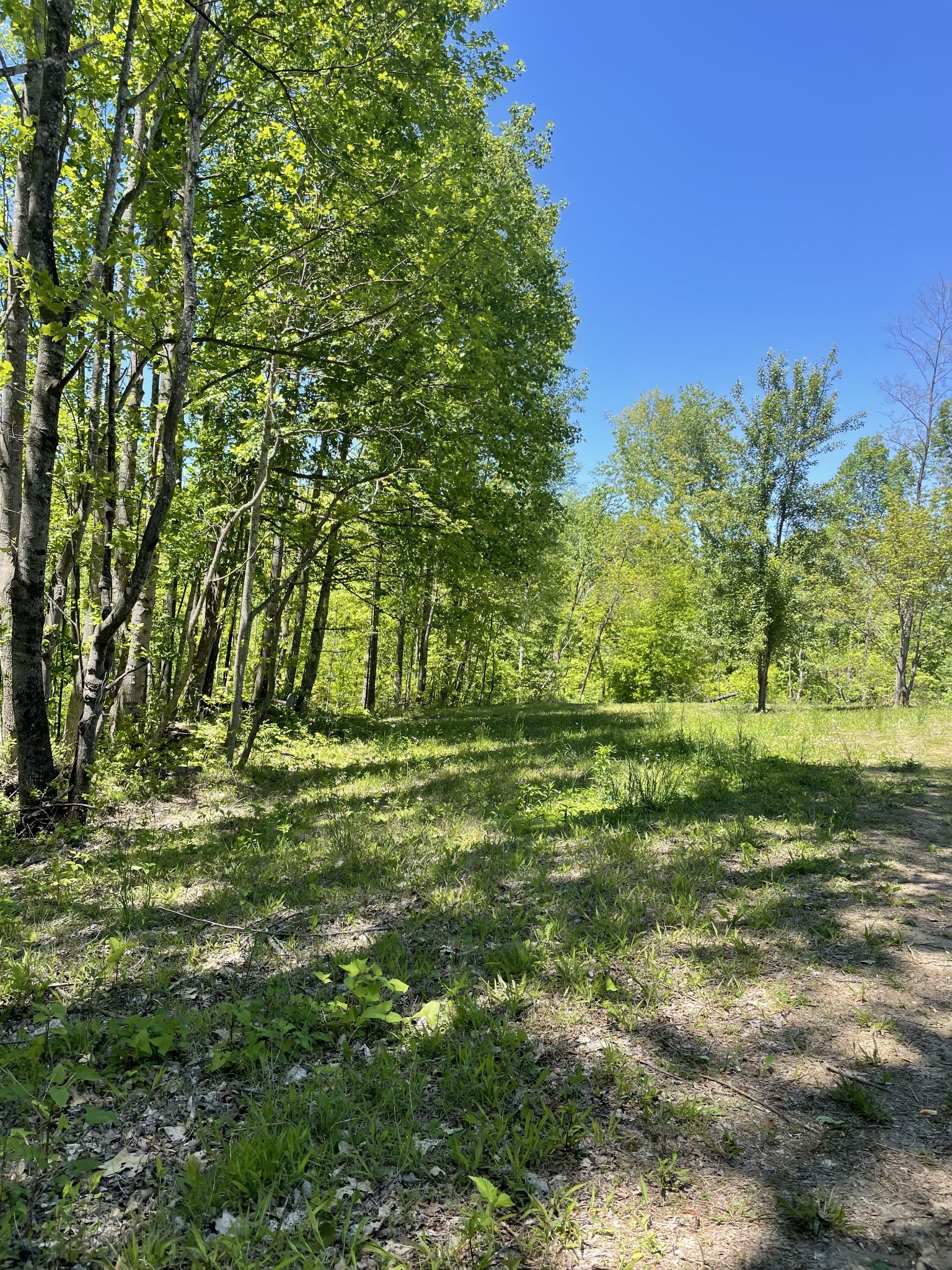 0 Highway 52 W Lafayette TN 37083