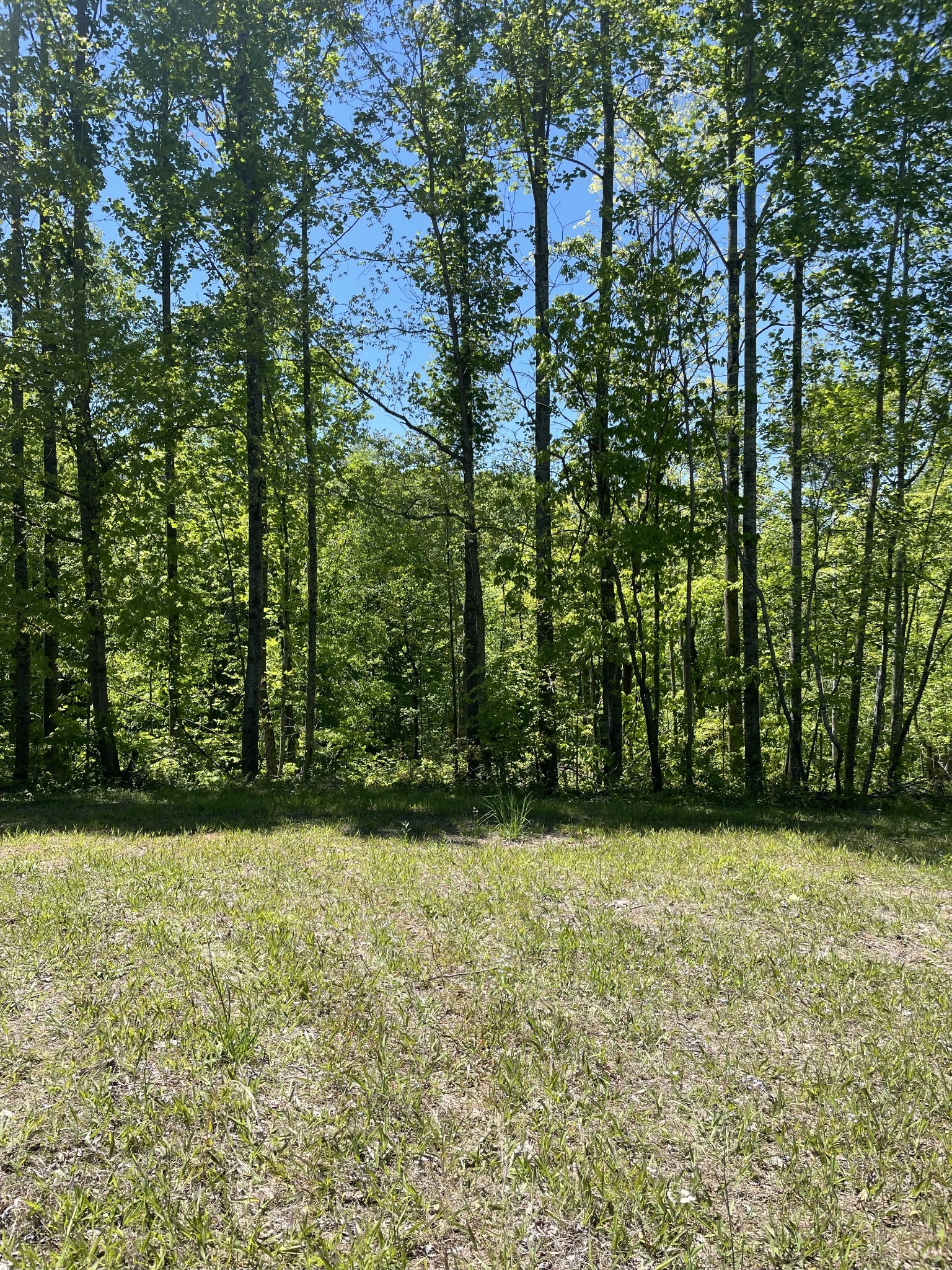 0 Highway 52 W Lafayette TN 37083