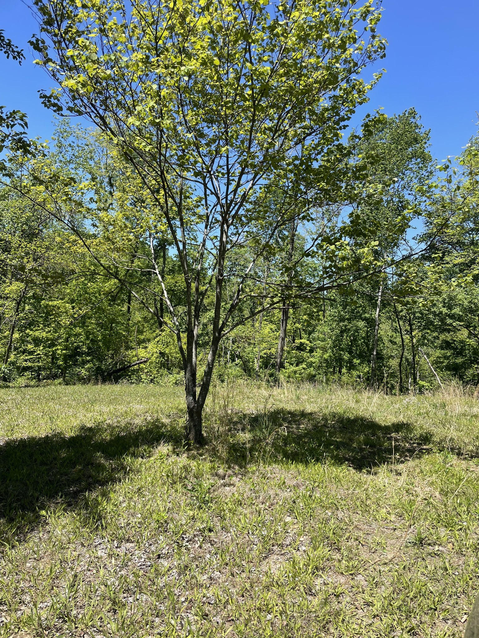 0 Highway 52 W Lafayette TN 37083