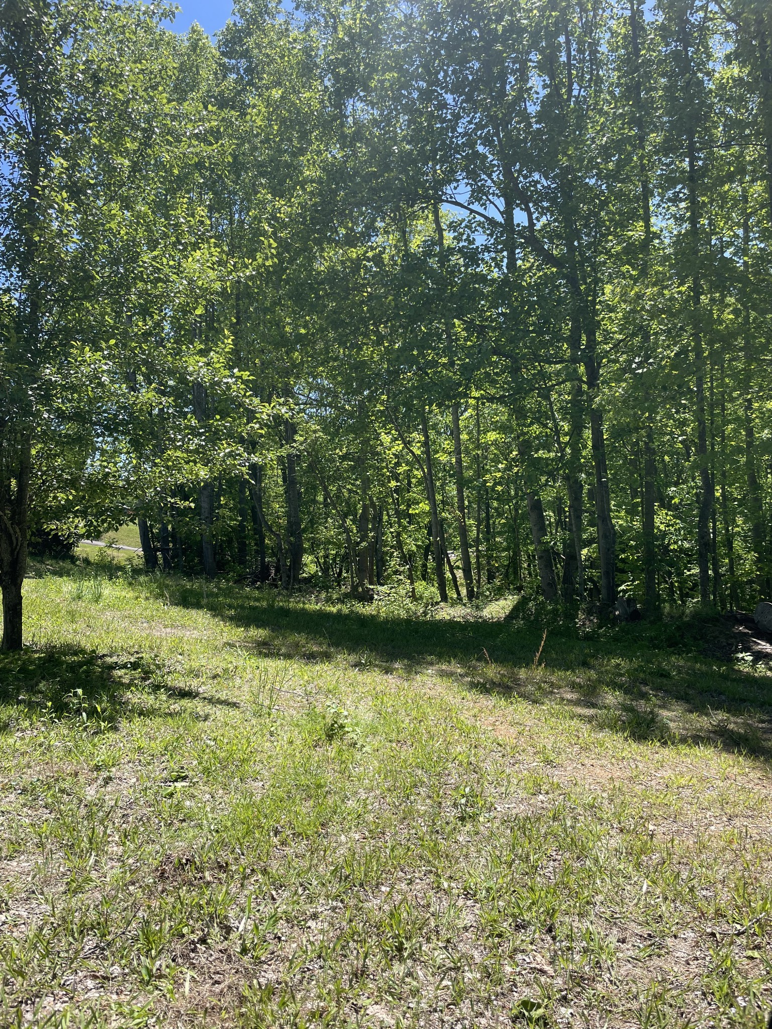 0 Highway 52 W Lafayette TN 37083