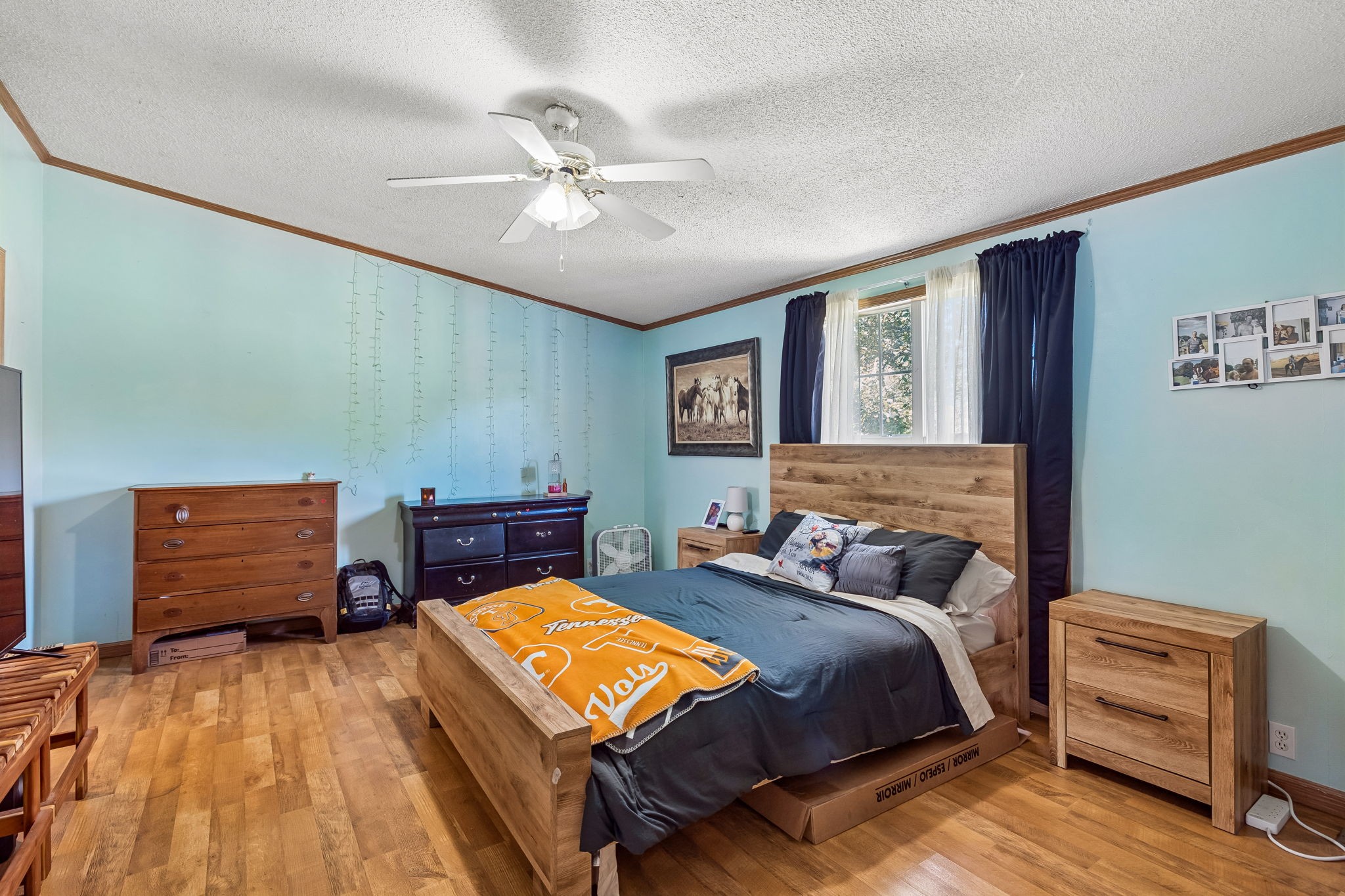 4870 Haley Lane Columbia TN 38401