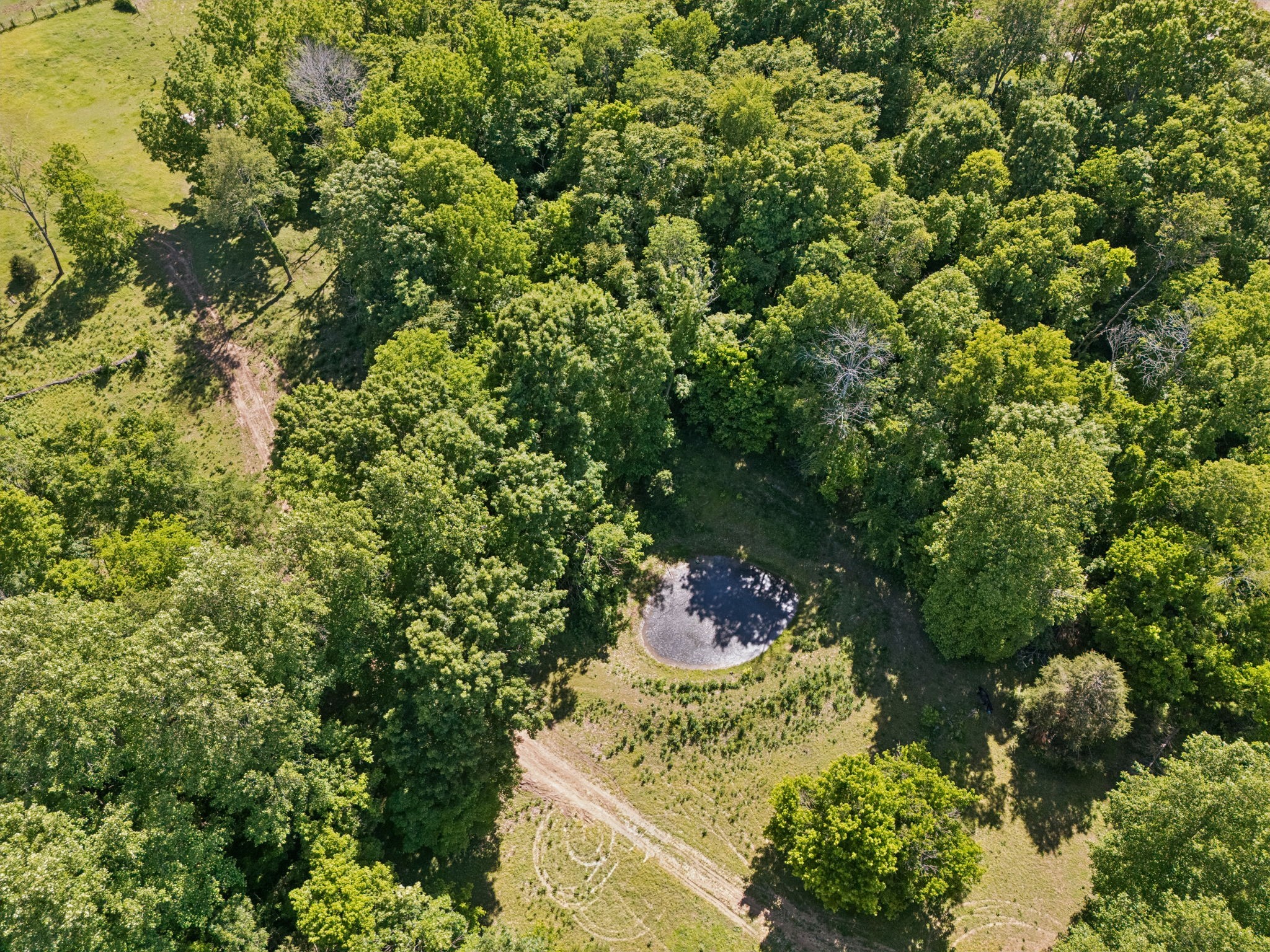 4870 Haley Lane Columbia TN 38401