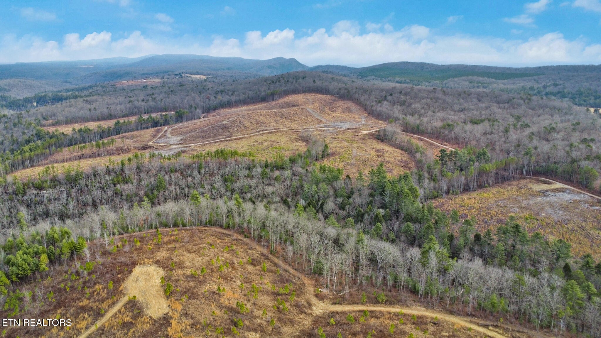 0 Possum Trot Road- 142.25 Acres Grandview TN 37337