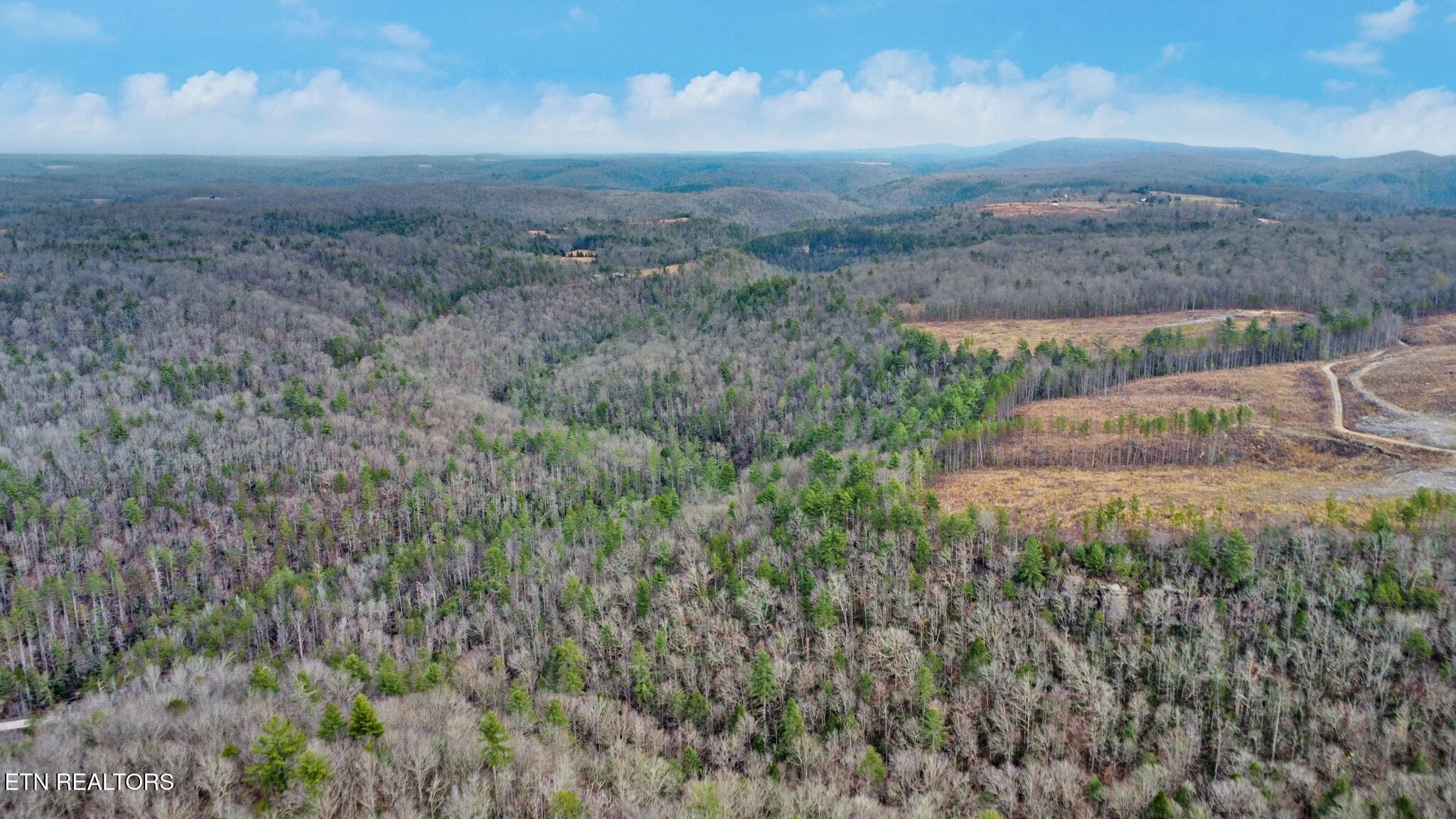 0 Possum Trot Road- 142.25 Acres Grandview TN 37337