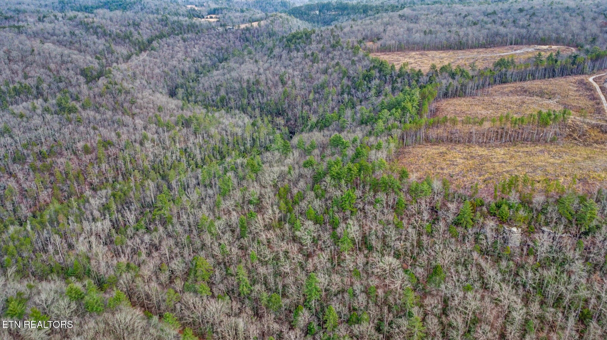 0 Possum Trot Road- 142.25 Acres Grandview TN 37337
