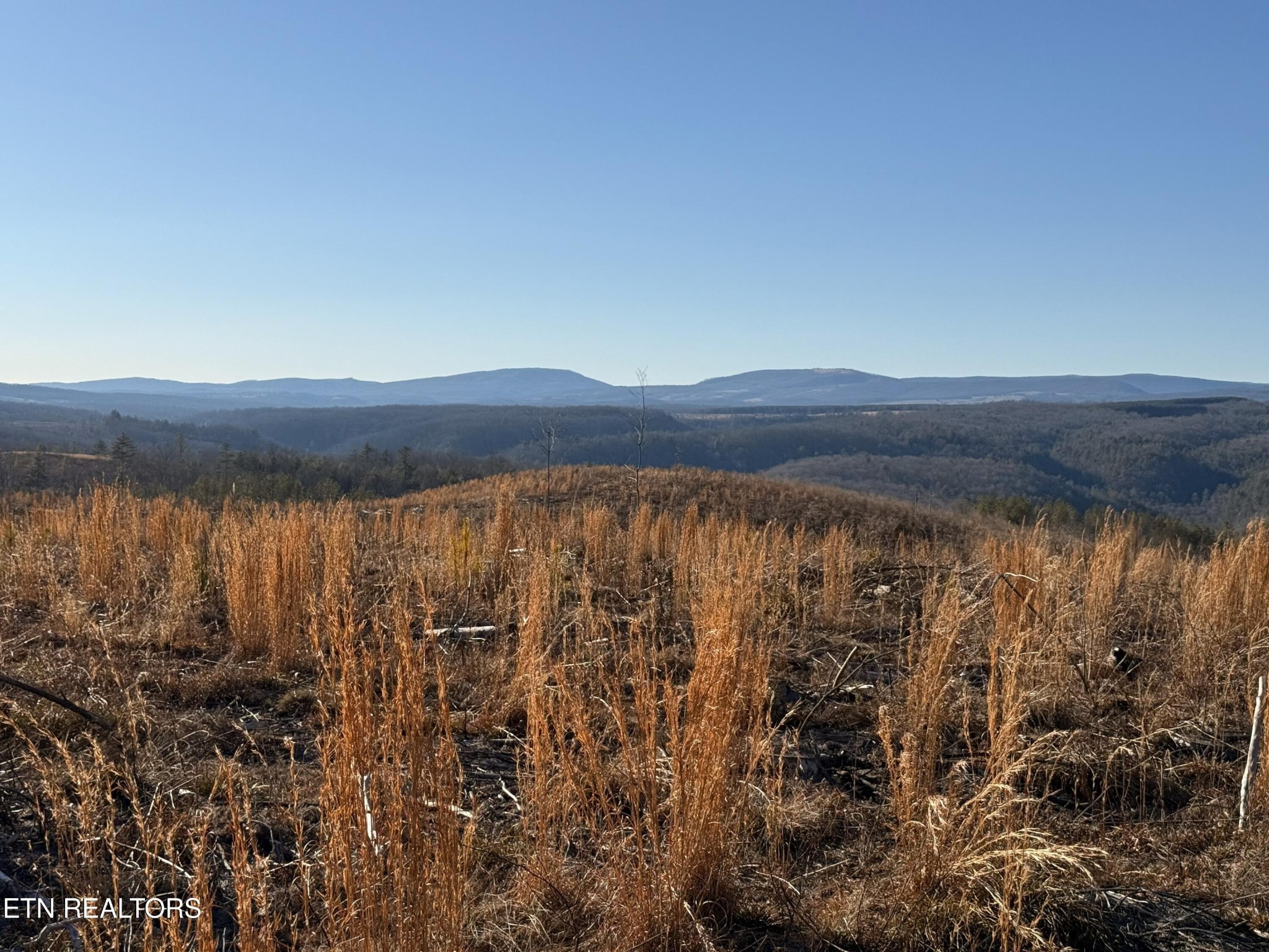 0 Possum Trot Road- 142.25 Acres Grandview TN 37337