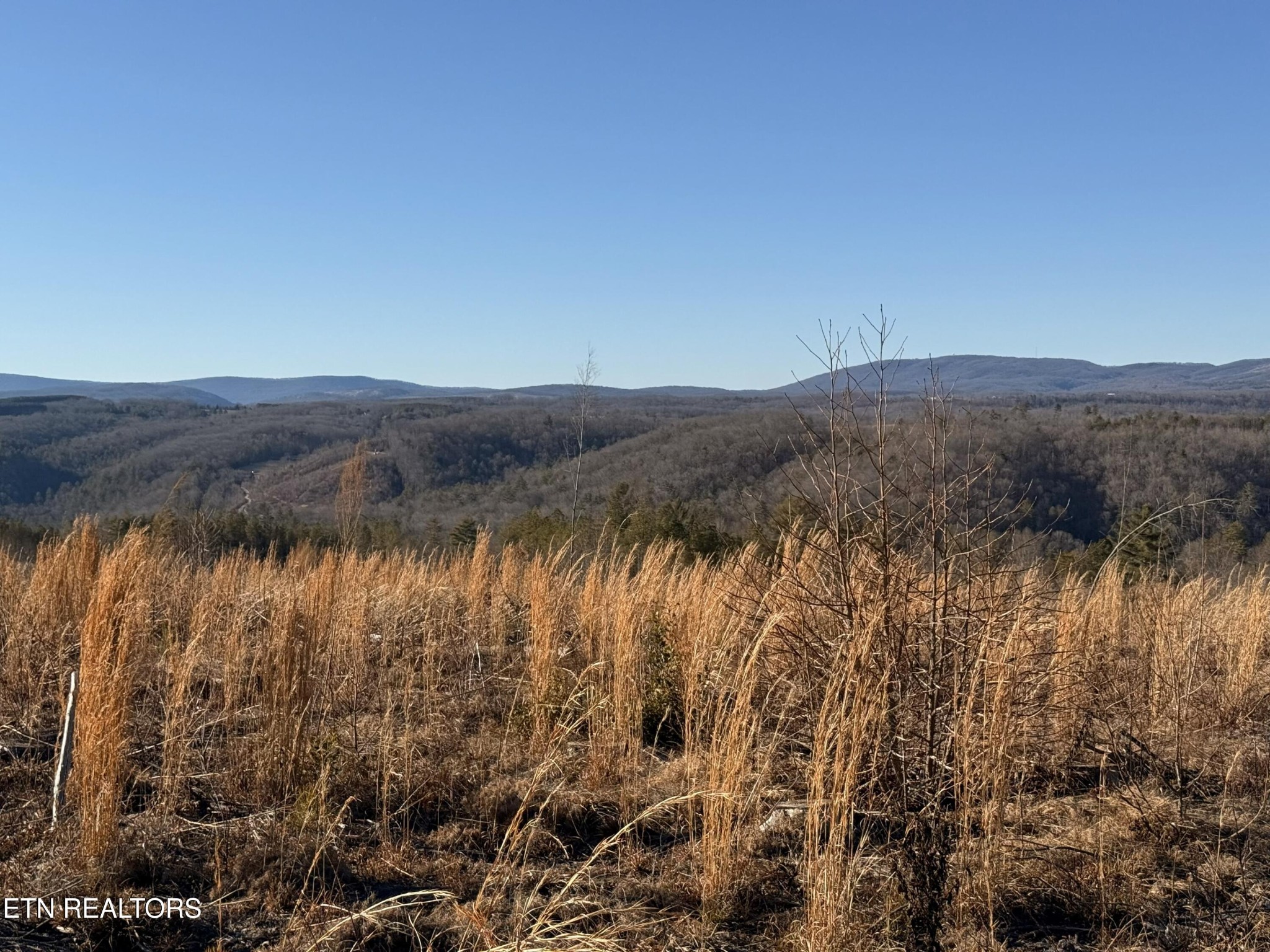 0 Possum Trot Road- 142.25 Acres Grandview TN 37337