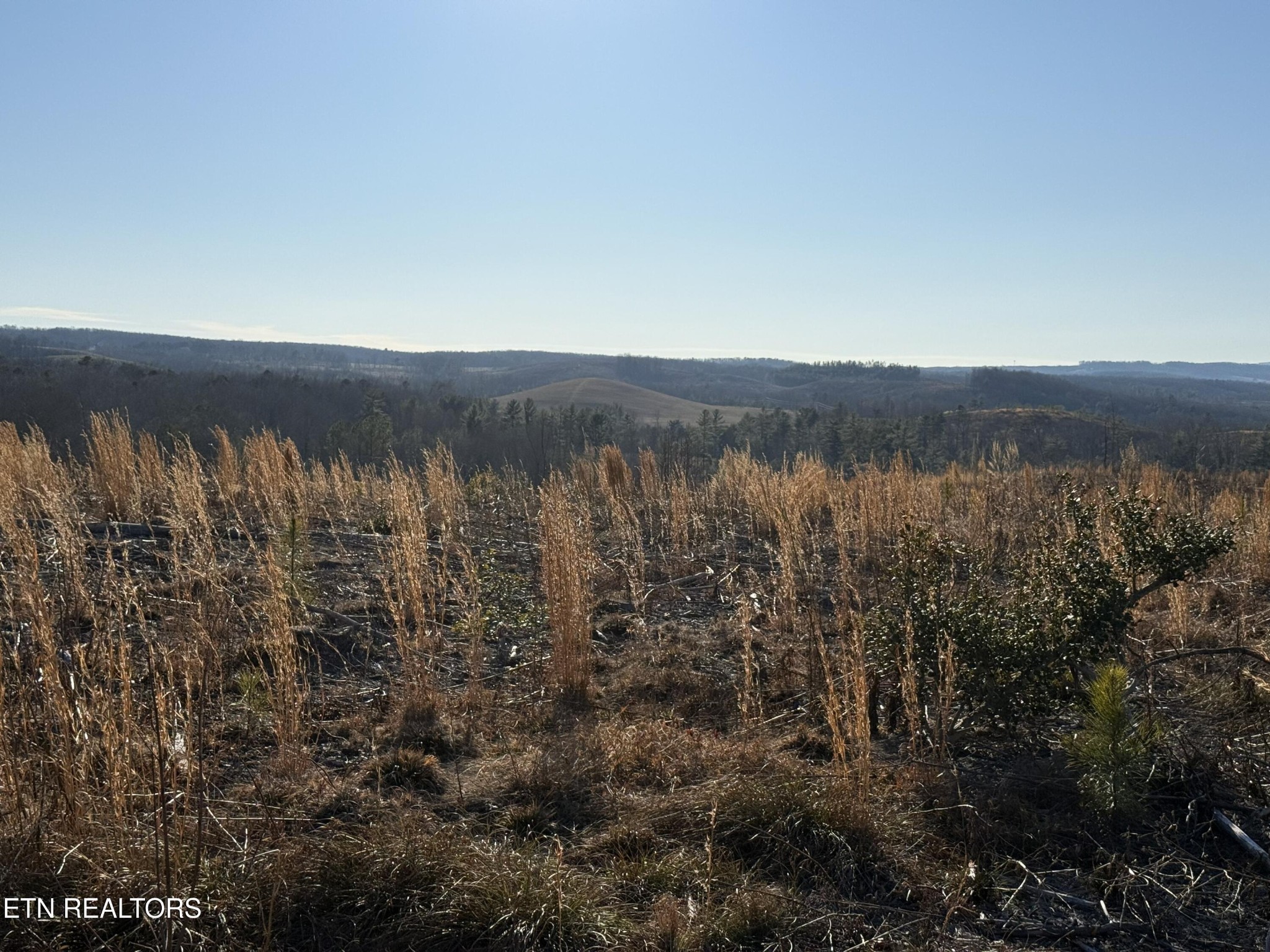 0 Possum Trot Road- 142.25 Acres Grandview TN 37337