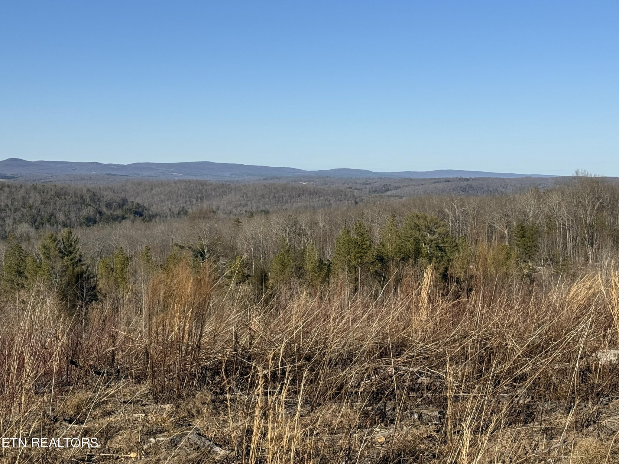 0 Possum Trot Road- 142.25 Acres Grandview TN 37337