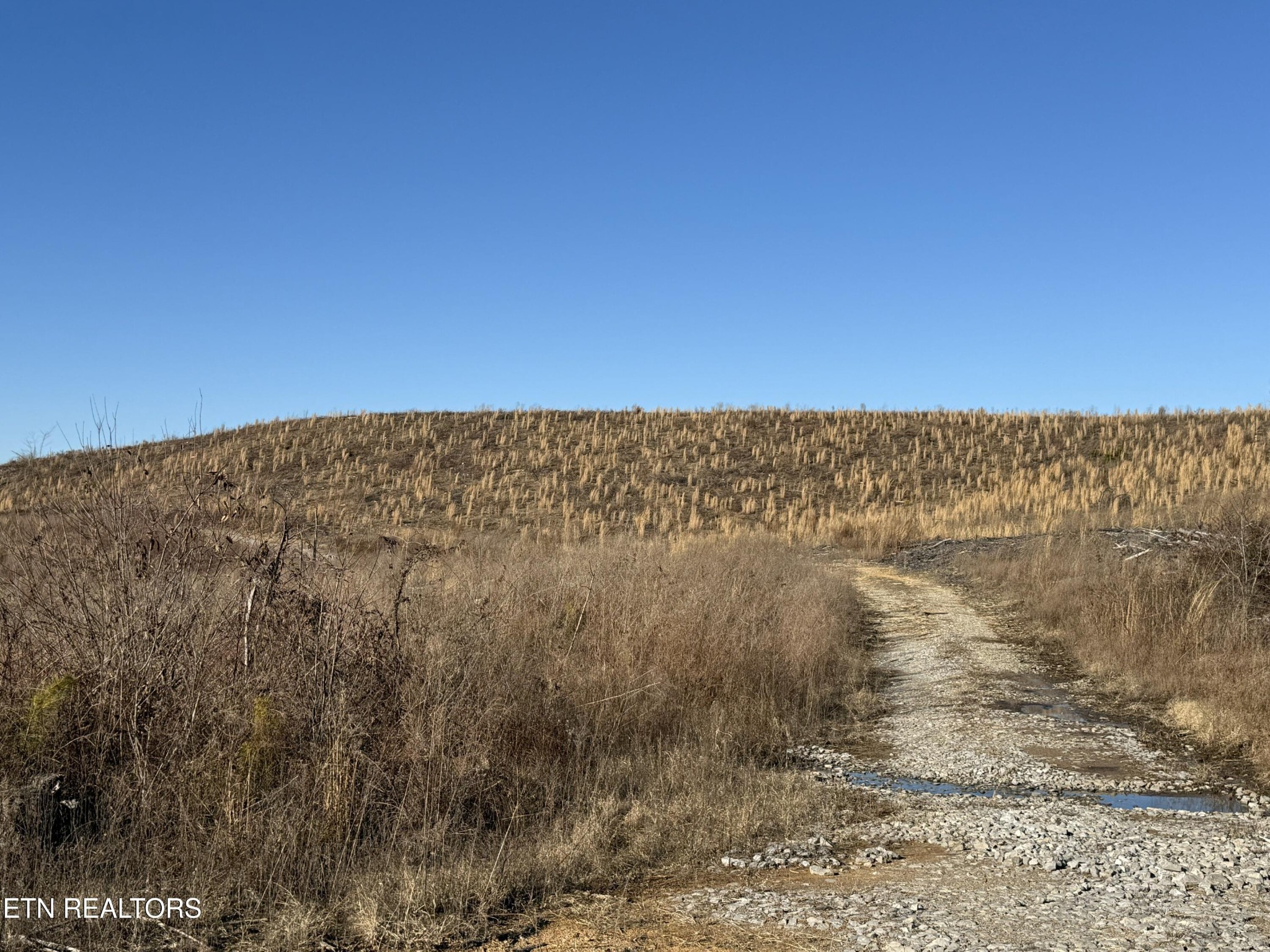 0 Possum Trot Road- 142.25 Acres Grandview TN 37337