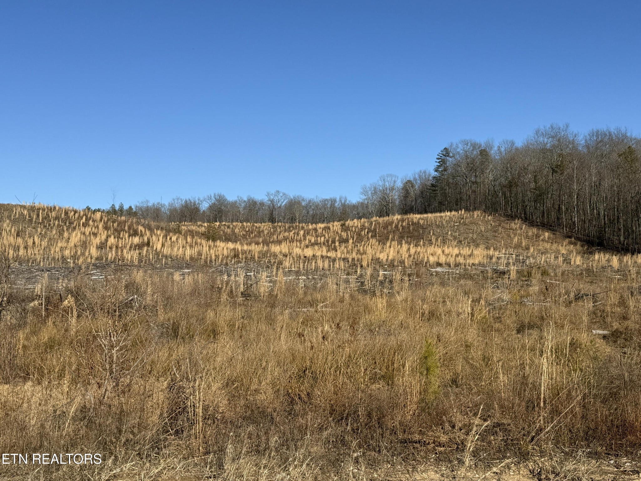 0 Possum Trot Road- 142.25 Acres Grandview TN 37337