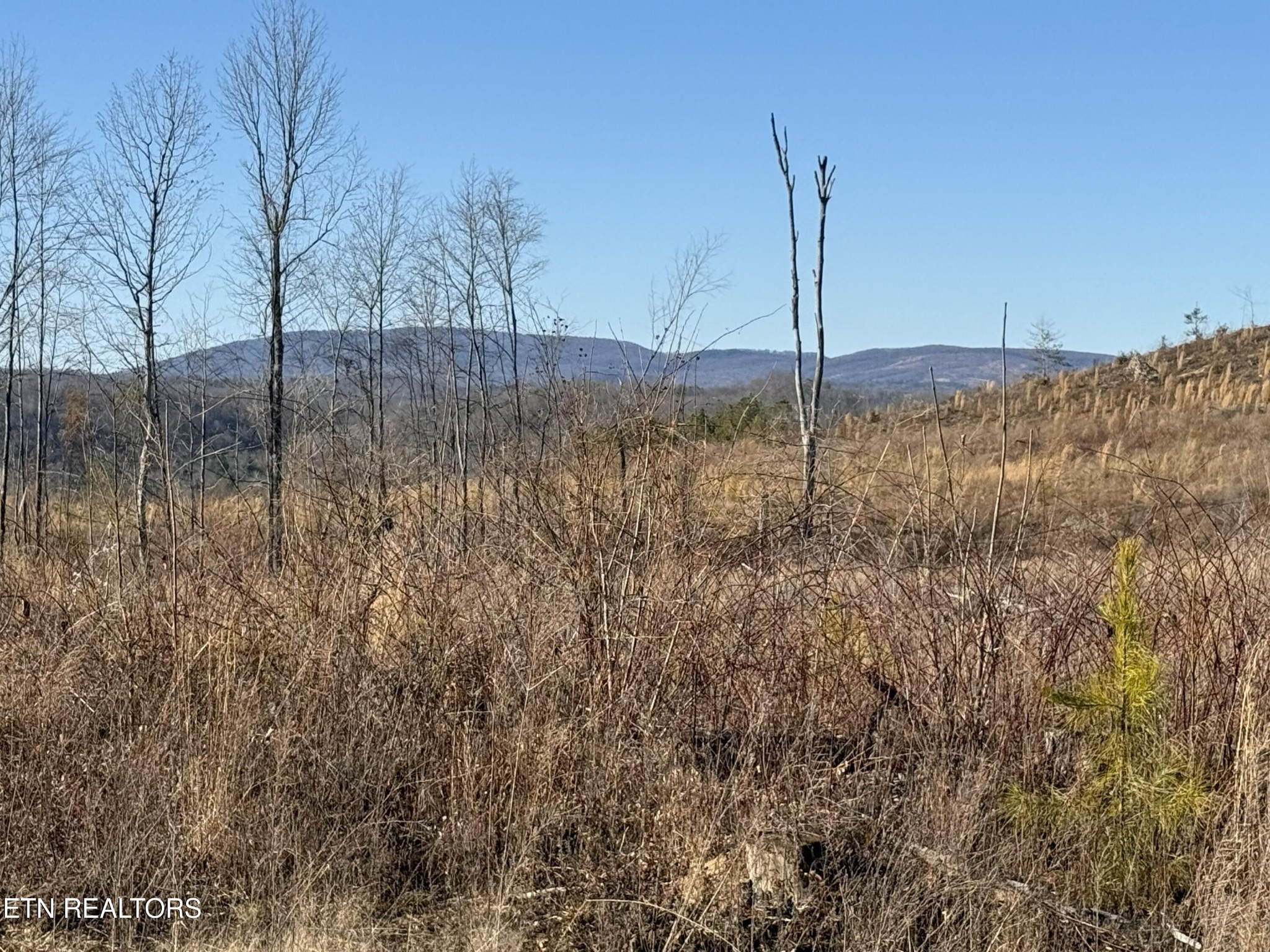 0 Possum Trot Road- 142.25 Acres Grandview TN 37337