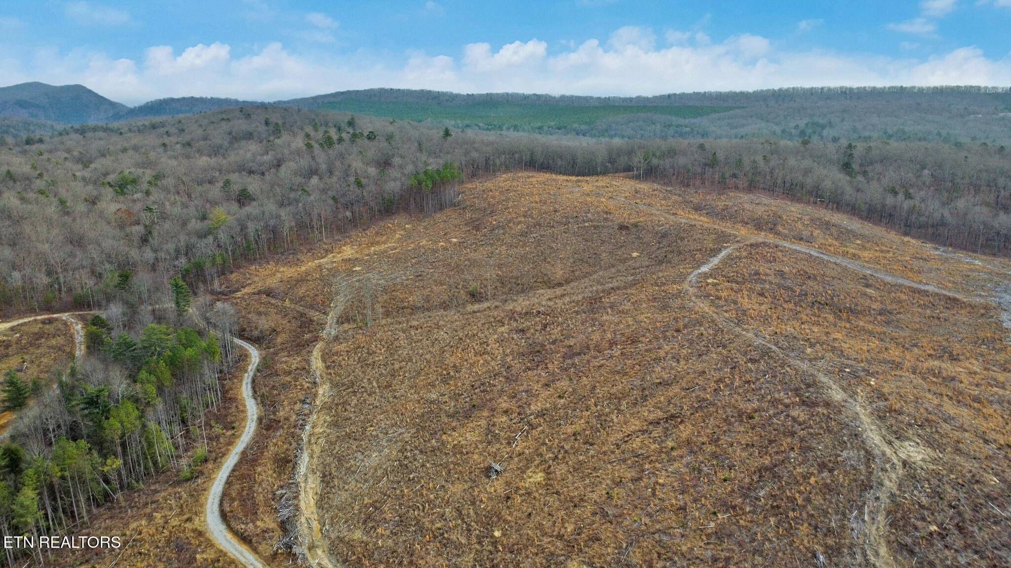 0 Possum Trot Road- 142.25 Acres Grandview TN 37337