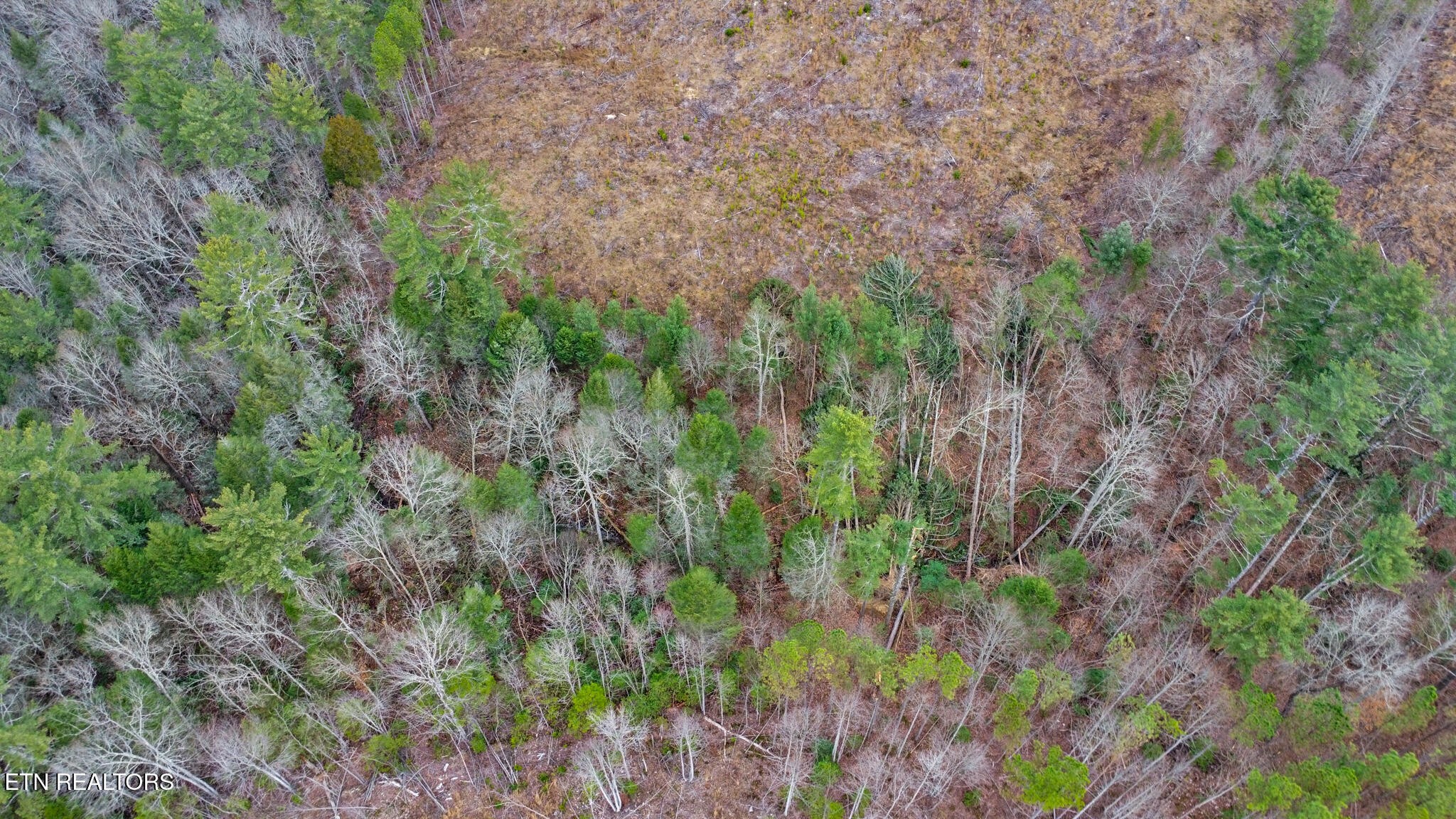 0 Possum Trot Road- 142.25 Acres Grandview TN 37337