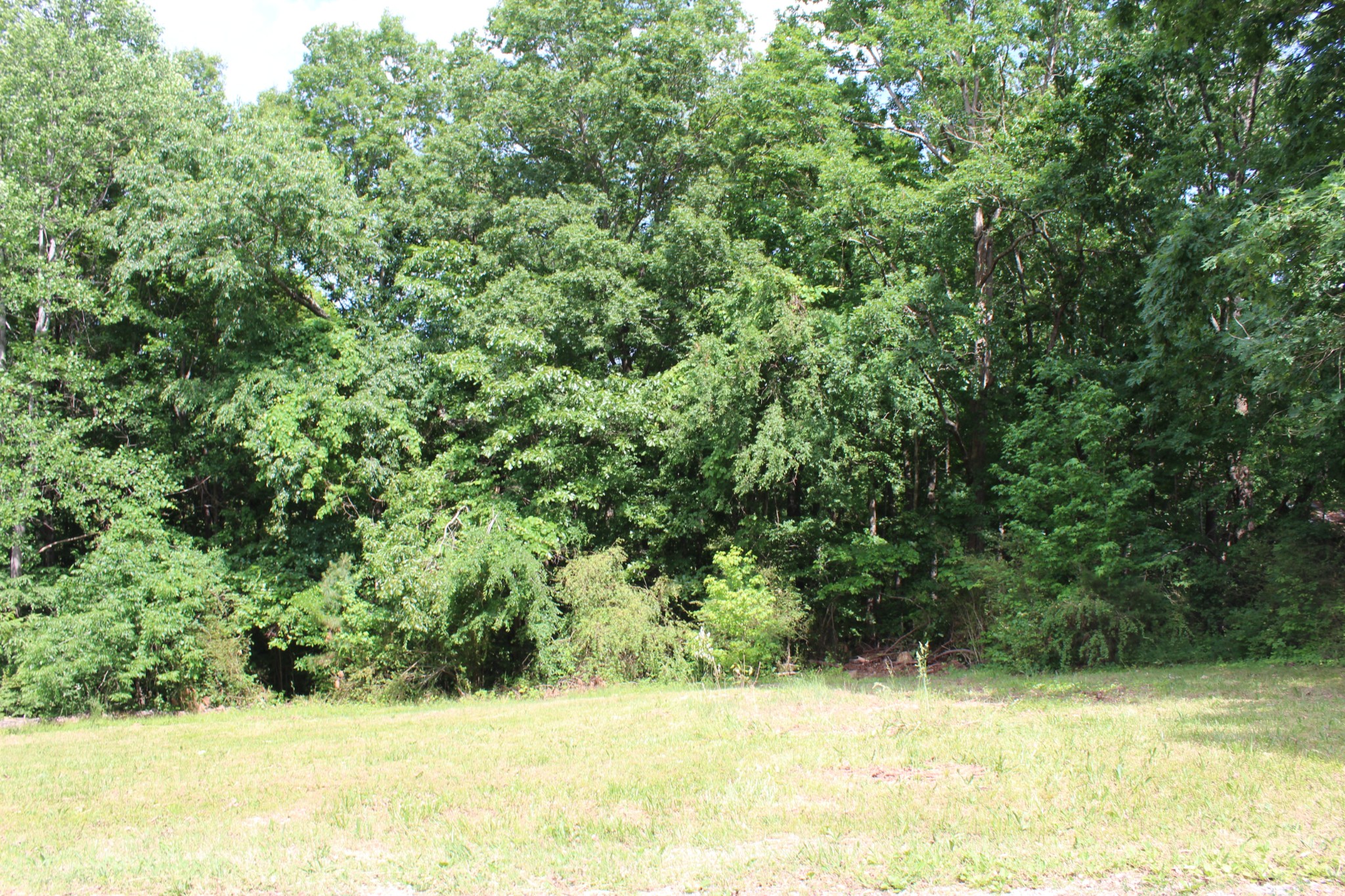 110 Towering Oaks Drive Tennessee Ridge TN 37178