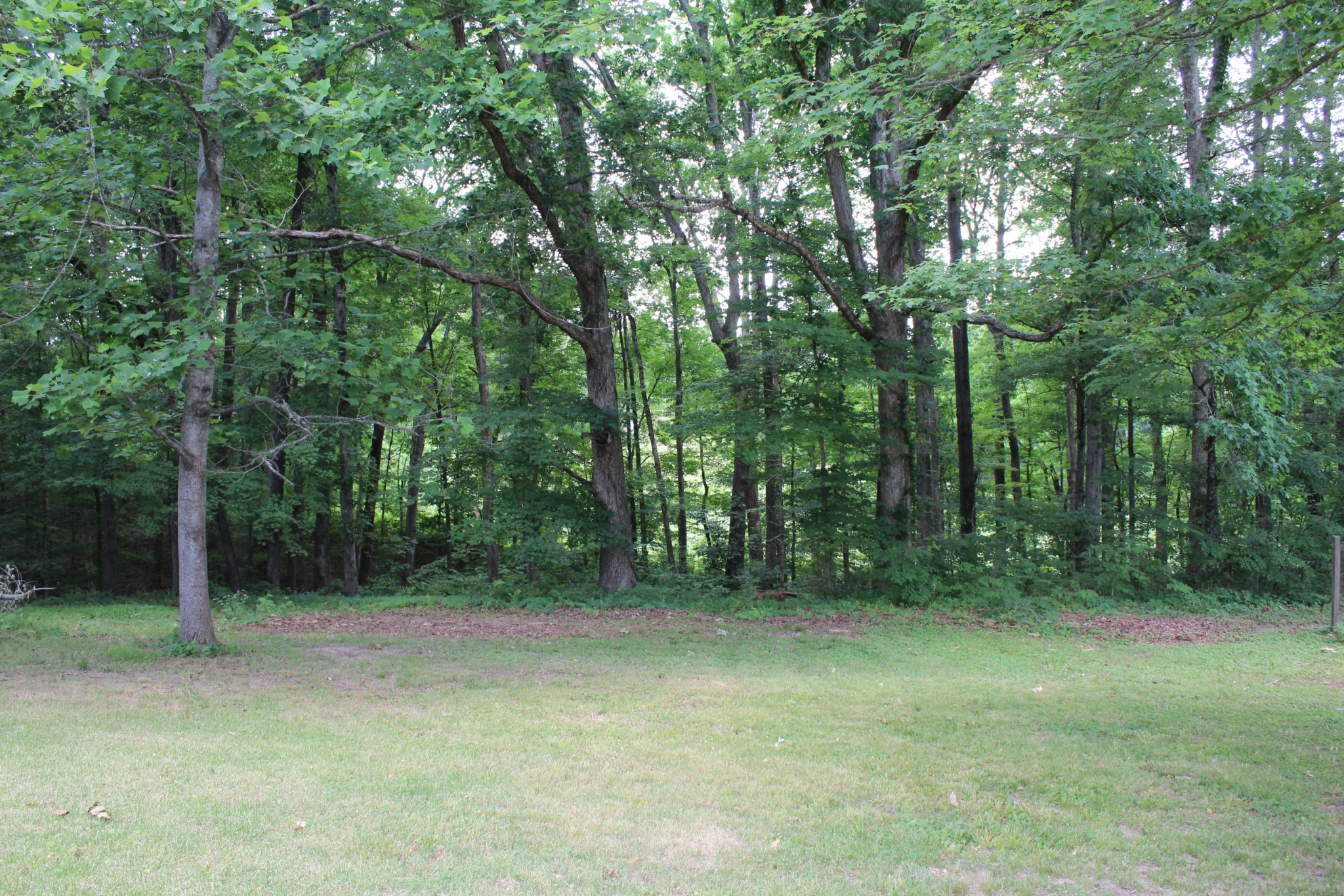 110 Towering Oaks Drive Tennessee Ridge TN 37178