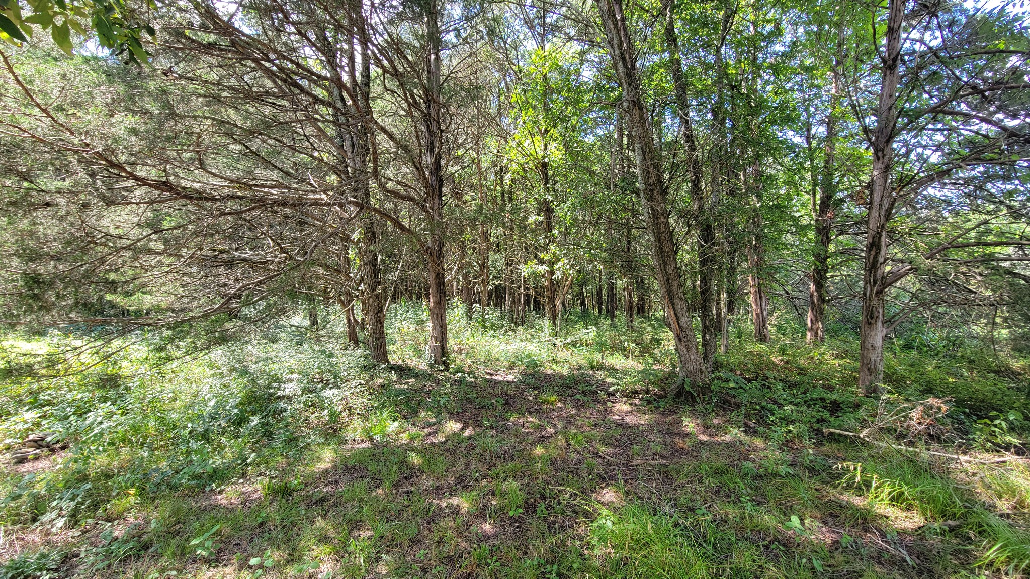 0 Murray Kittrell Road Readyville TN 37149