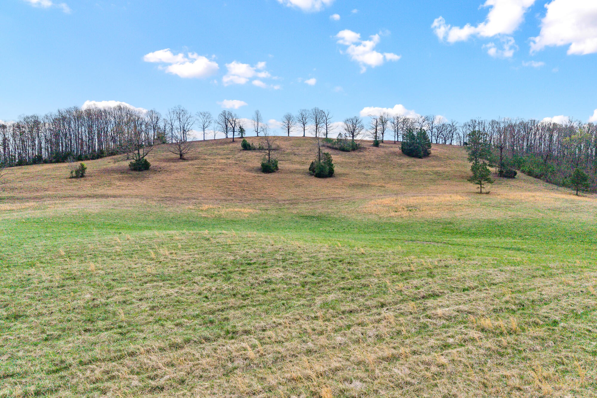 1 N Nopone Valley Road Decatur TN 37322