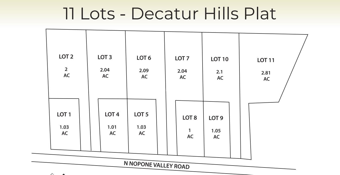 1 N Nopone Valley Road Decatur TN 37322