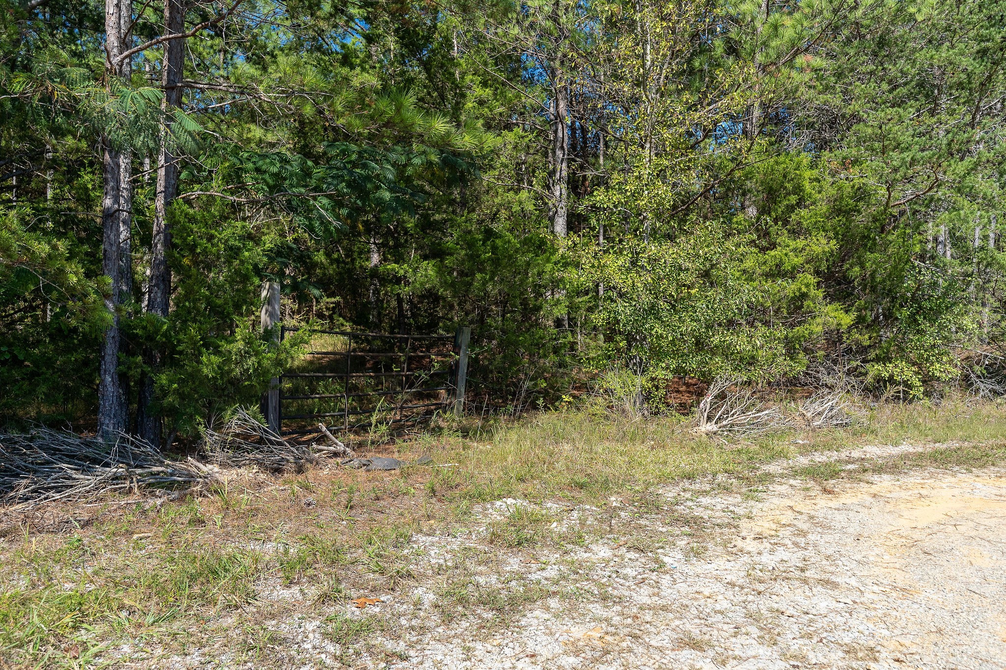 0 R Gribble Road Mc Minnville TN 37110