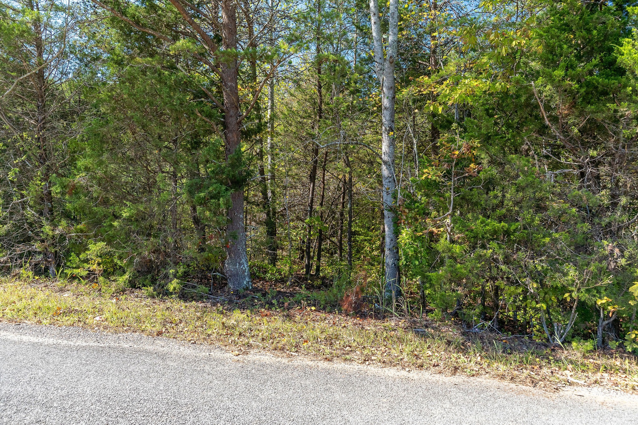 0 R Gribble Road Mc Minnville TN 37110