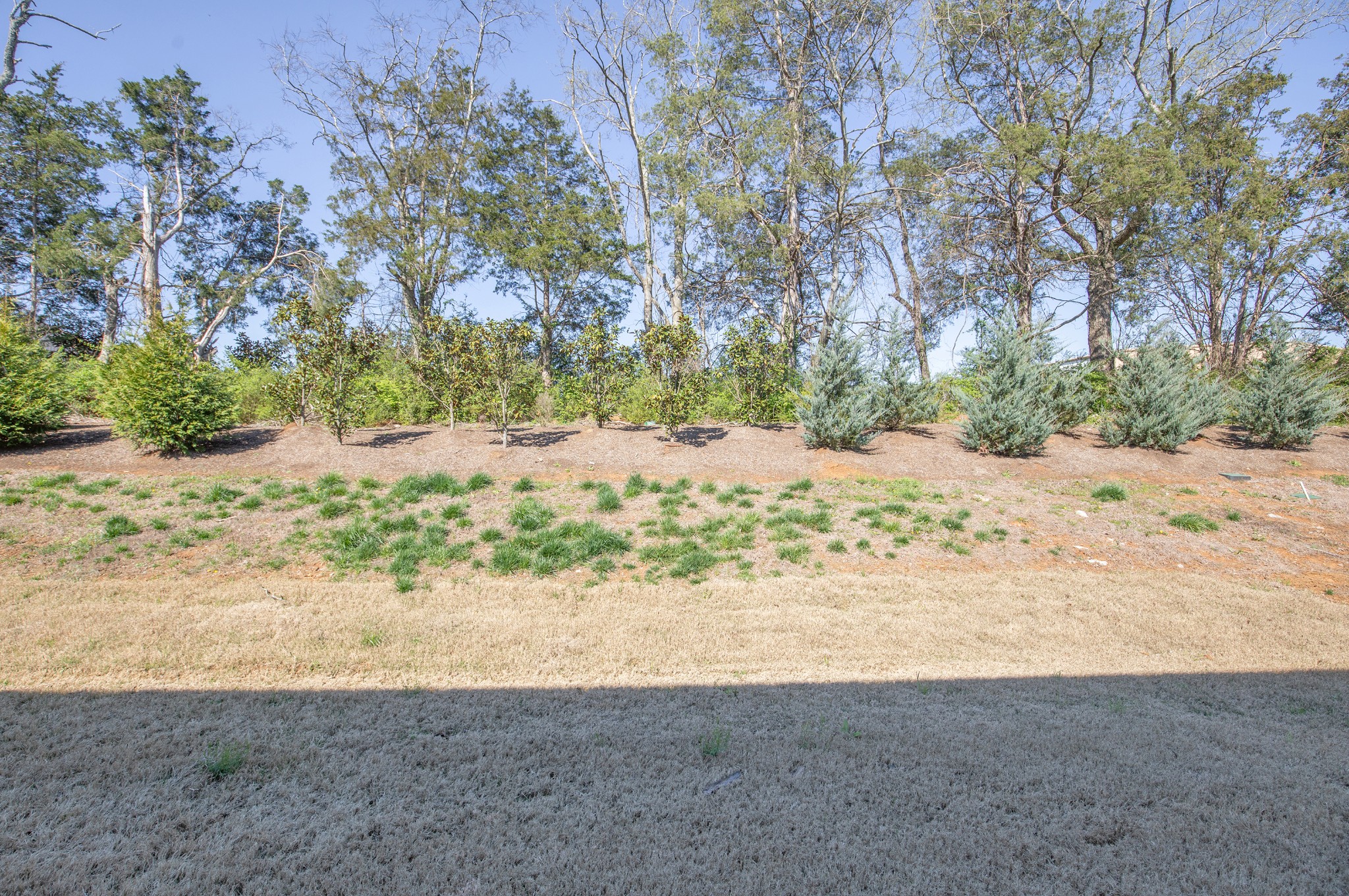 4231 Feetham Drive Murfreesboro TN 37129