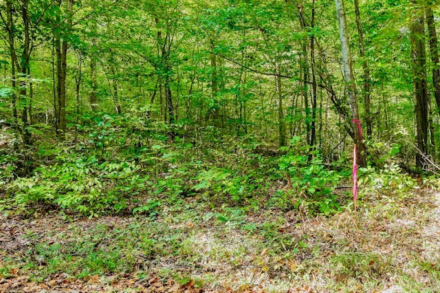 0 Bolestown Loop Lot 2 Alpine TN 38543