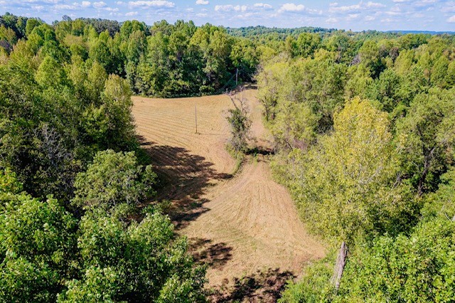 0 Bolestown Loop Lot 2 Alpine TN 38543